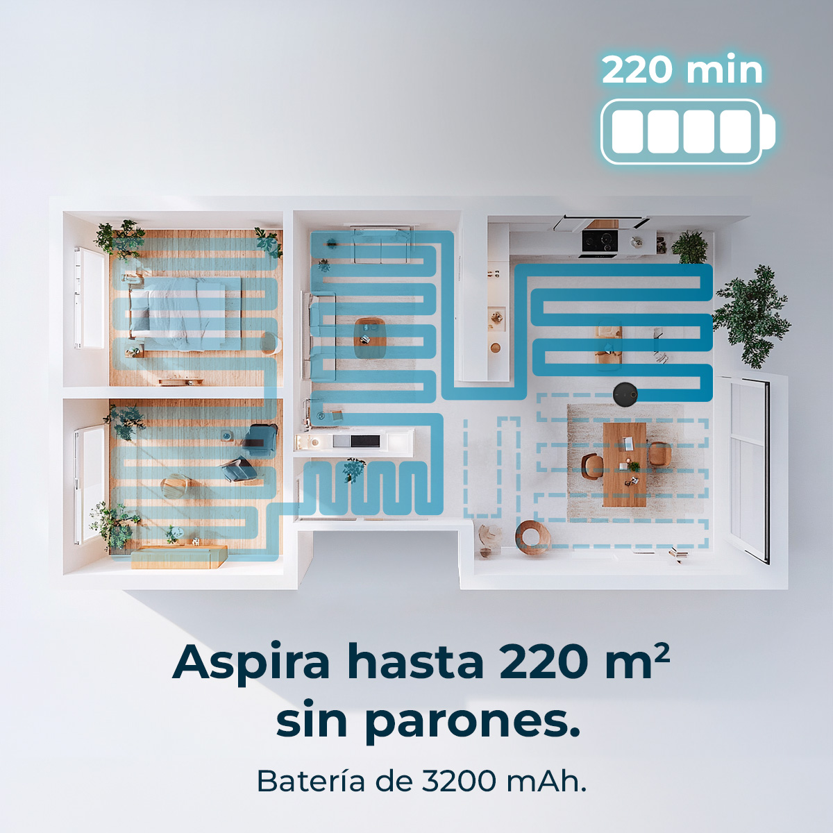 Conga 7690 Immortal Max Home | Envío gratis y mejor precio garantizado – foto detalle 5